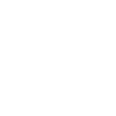 IFF logo
